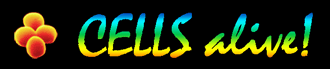 CELLS alive LOGO