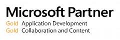 Microsoft Partner